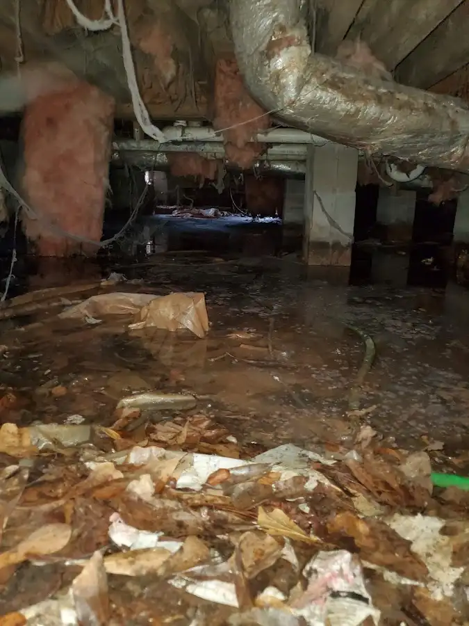 Crawl space flood assessment for Leak Detection & Repair in Ramsey